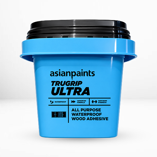 Asian Paints Adhesive